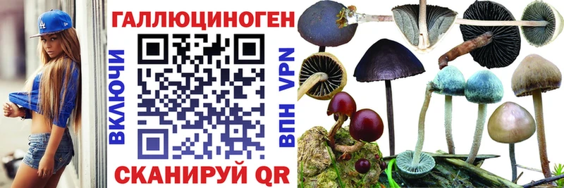 Псилоцибиновые грибы мухоморы  Агрыз 